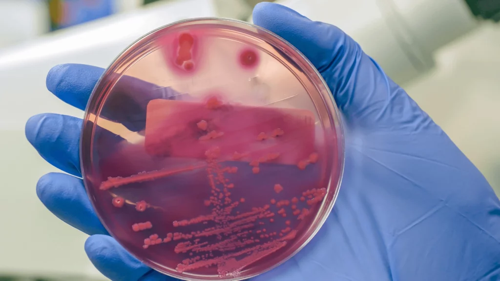 Odgrzybianie woj. Pomorskie