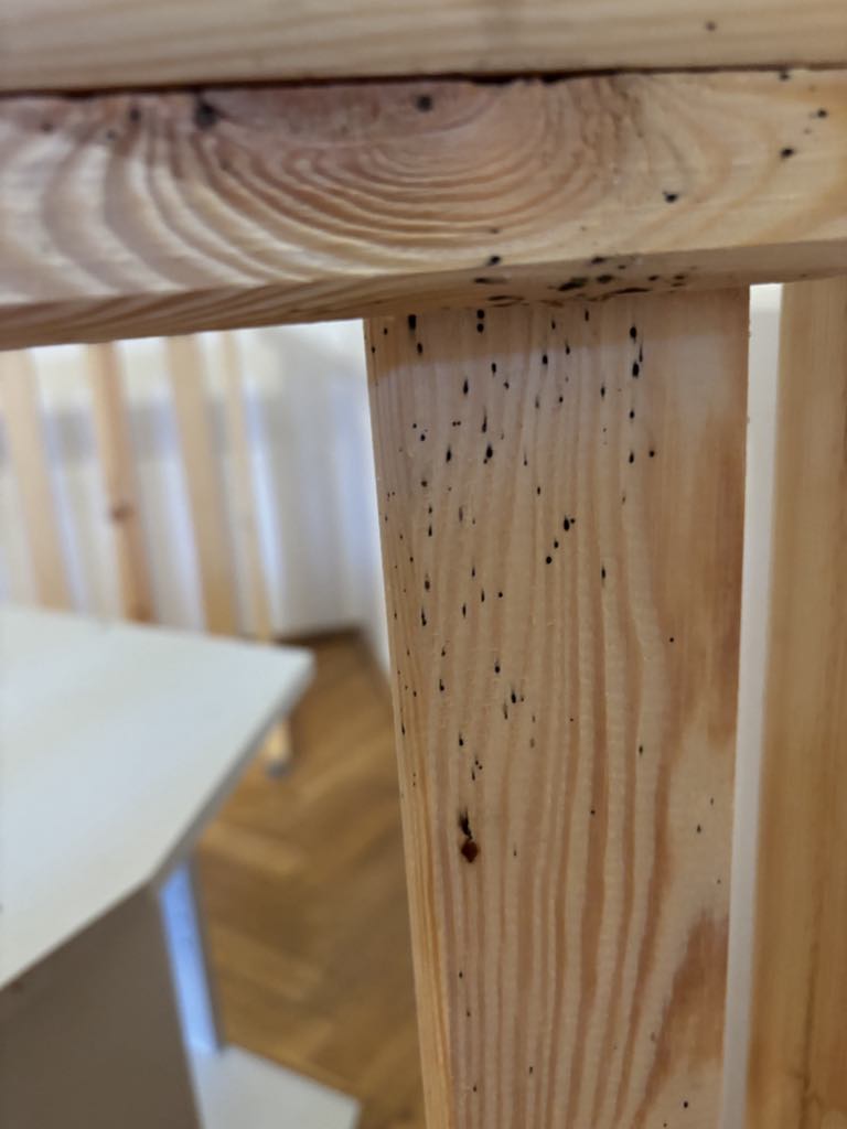 Pluskwa domowa, pluskwa, Jak pozbyć się pluskwy